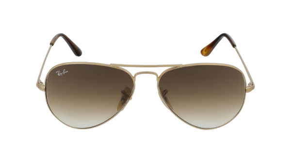 Ray-Ban RB3689