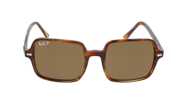 Ray-Ban 0RB1973