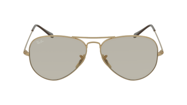 Ray-Ban RB3689