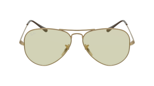Ray-Ban RB3689