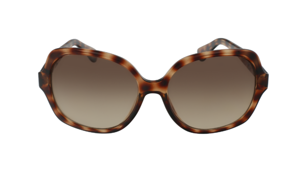 Calvin Klein CK19538S